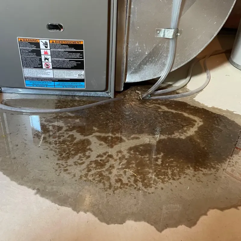 Appliance Leak Cleanup in Sachse, TX