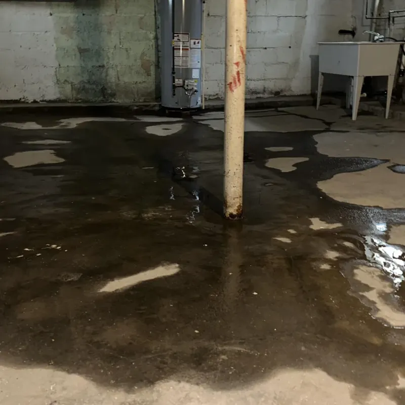 Emergency Water Extraction And Removal in Sachse, TX